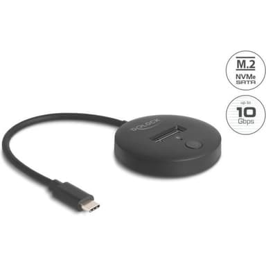 DELOCK M.2 Dockingstation für M.2 NVMe/SATA SSD