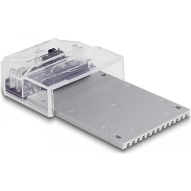 DELOCK USB Type-C Dockingstation für 1 x U.2 SSD
