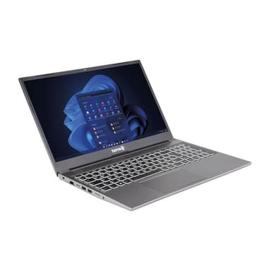TERRA MOBILE 1517R 39,6cm (15,6″) i3-1315U 8GB 500GB W11
