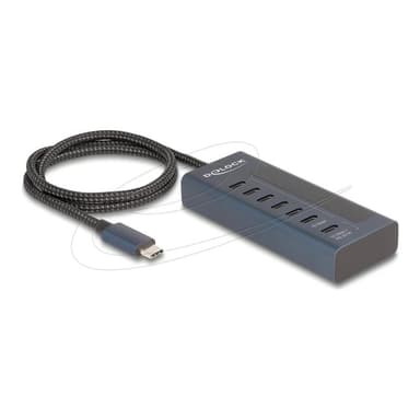DELOCK USB 10 Gbps Hub mit 7 USB Type-C Ports