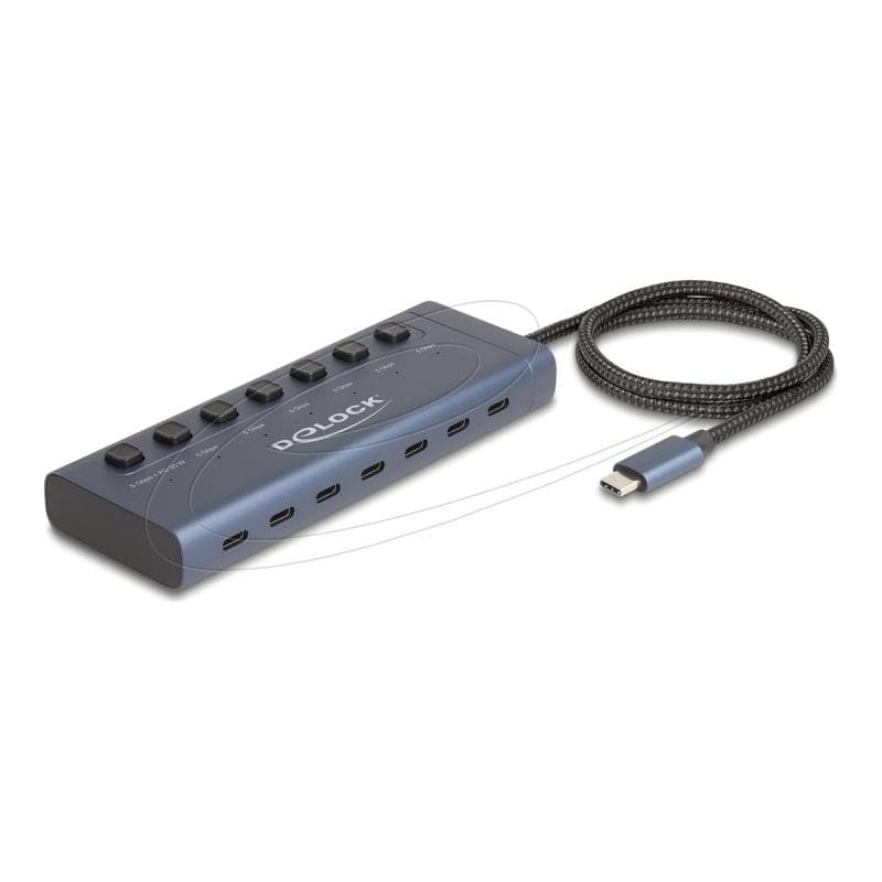 DELOCK USB 5 Gbps Hub mit 7 USB Type-C Ports