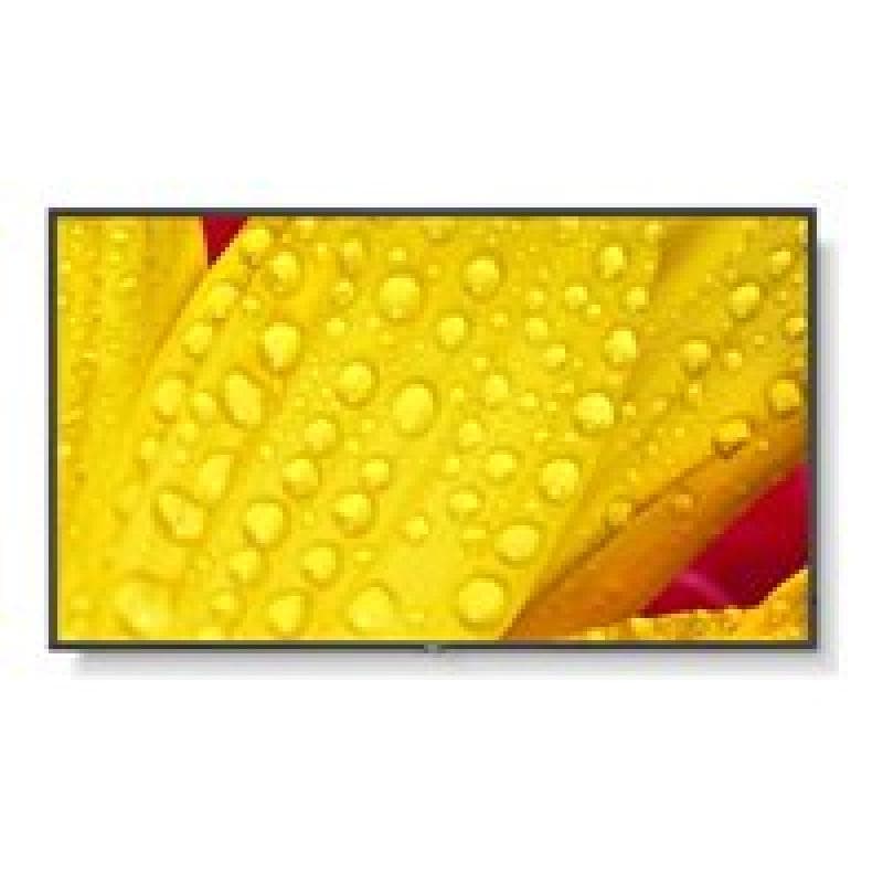 NEC MultiSync M651-2 165cm (65″)