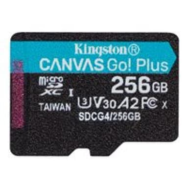 KINGSTON Canvas Go Plus Gen4 256GB