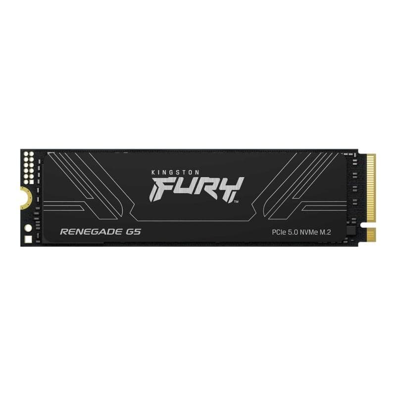 KINGSTON FURY Renegade G5 4TB