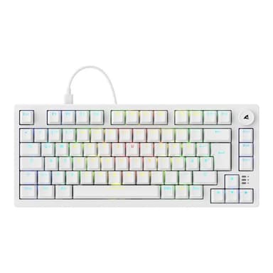 SHARKOON Gaming Tastatur Skiller SGK25 weiß DE