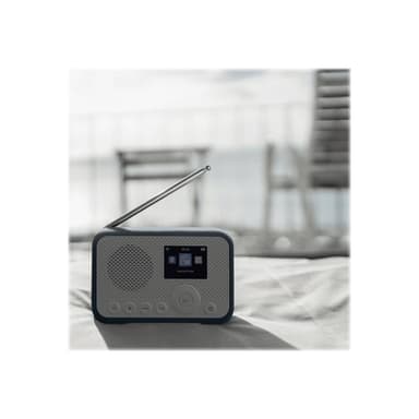 SANGEAN WFR-39 Internet Taschenradio