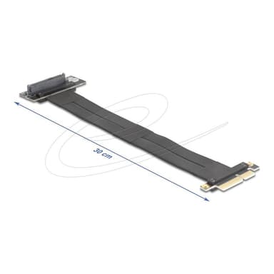 DELOCK 81506, PCIe, U.2, Männlich, Schwarz, 0,3 m, 1 Stück(e)