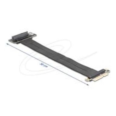 DELOCK 81506, PCIe, U.2, Männlich, Schwarz, 0,3 m, 1 Stück(e)