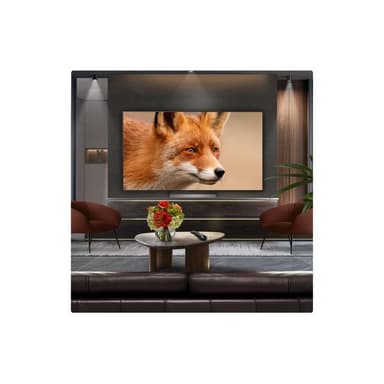 LG OLED65C5ELB 165cm (65")
