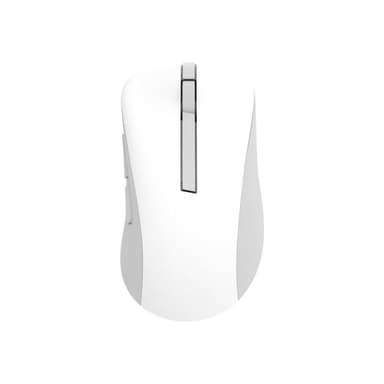 ASUS Wireless Mouse MD102 - rechts - Optisch - RF Wireless + Bluetooth