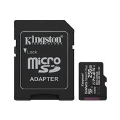 KINGSTON Canvas Select Plus Gen3 256GB