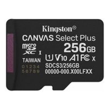 KINGSTON Canvas Select Plus Gen3 256GB
