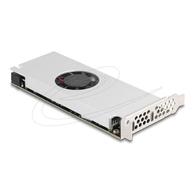 DELOCK PCI Express x16 Karte zu 2 x USB 20 Gbps USB Type-C