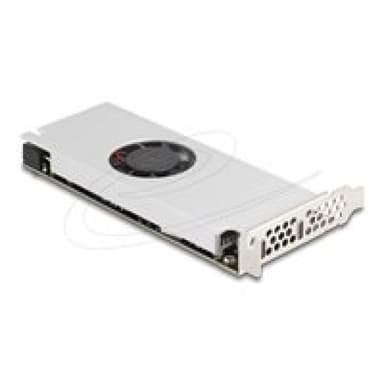 DELOCK PCI Express x16 Karte zu 2 x USB 20 Gbps USB Type-C
