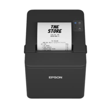 EPSON TM-T20IV (101A0)