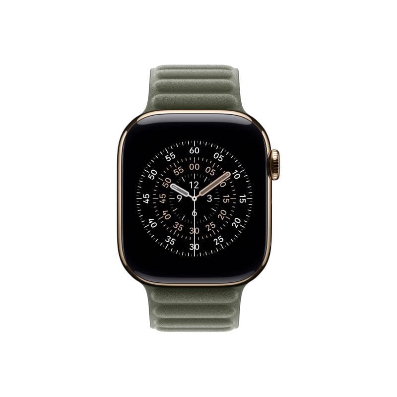 APPLE 42mm Sage Gray Magnetic Link - M/L