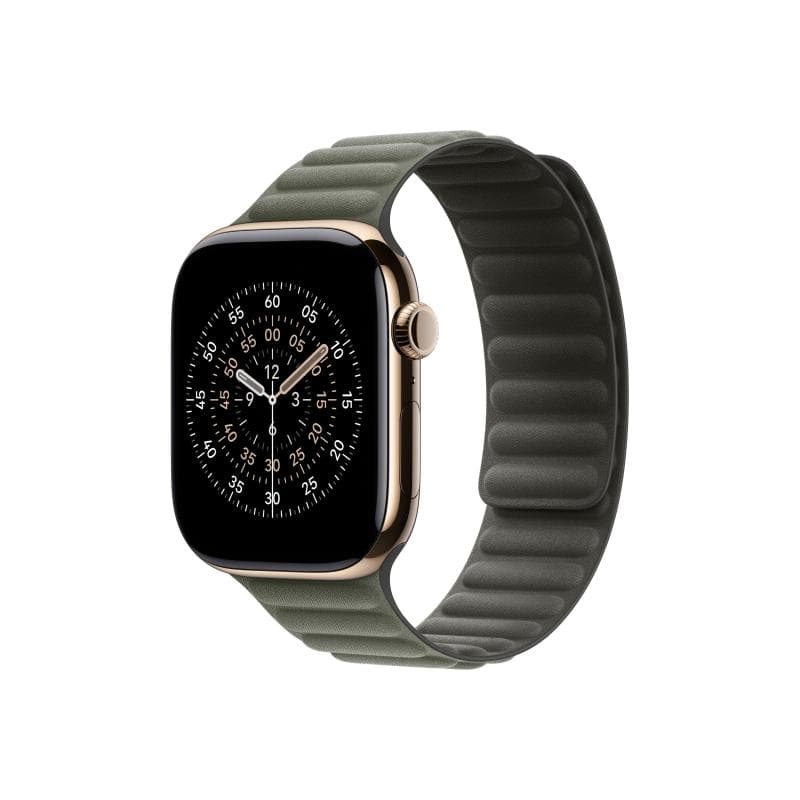 APPLE 46mm Sage Gray Magnetic Link - M/L