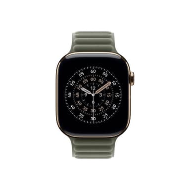 APPLE 46mm Sage Gray Magnetic Link - M/L
