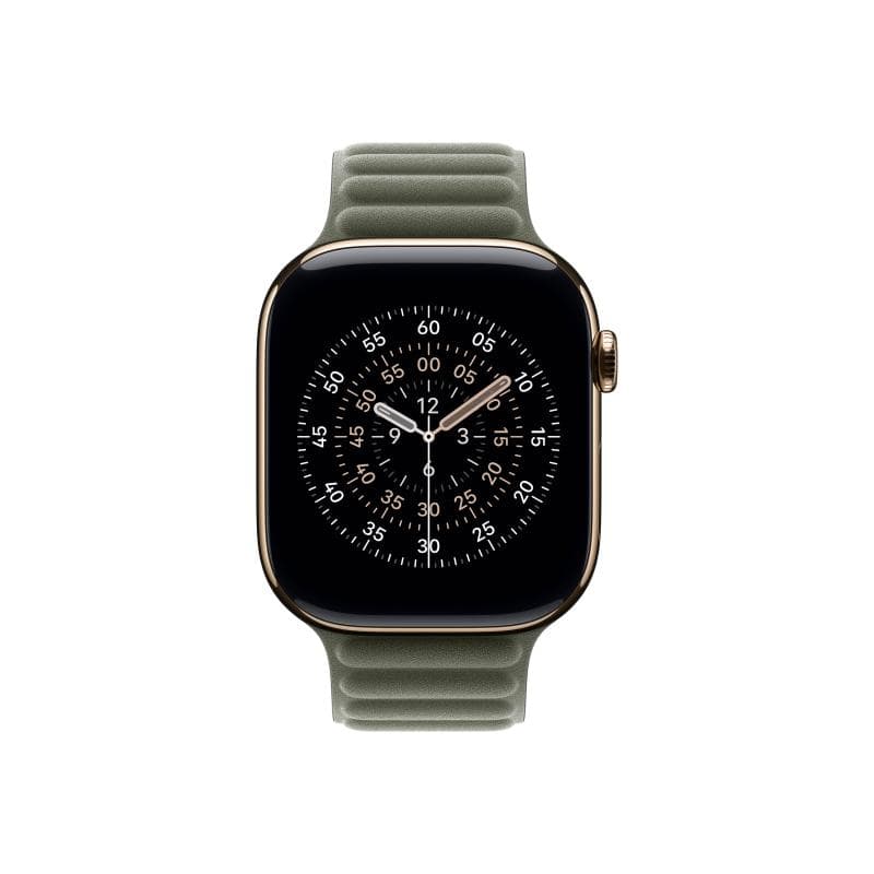 APPLE 46mm Sage Gray Magnetic Link - M/L