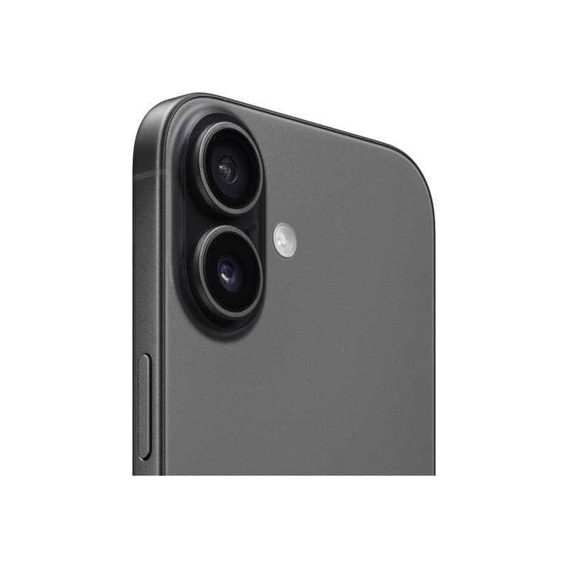 APPLE iPhone 17 256GB schwarz