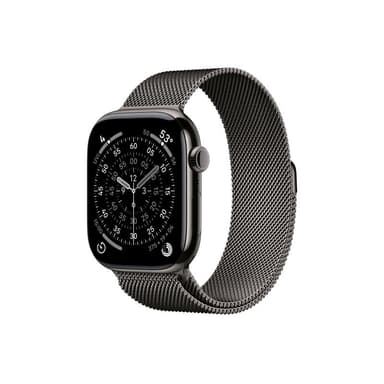 APPLE Watch S11 Titan Schiefer Cellular 46mm (Milanaise Armband schiefer) M/L