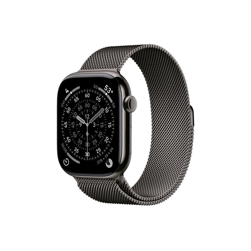 APPLE Watch S11 Titan Schiefer Cellular 46mm (Milanaise Armband schiefer) S/M