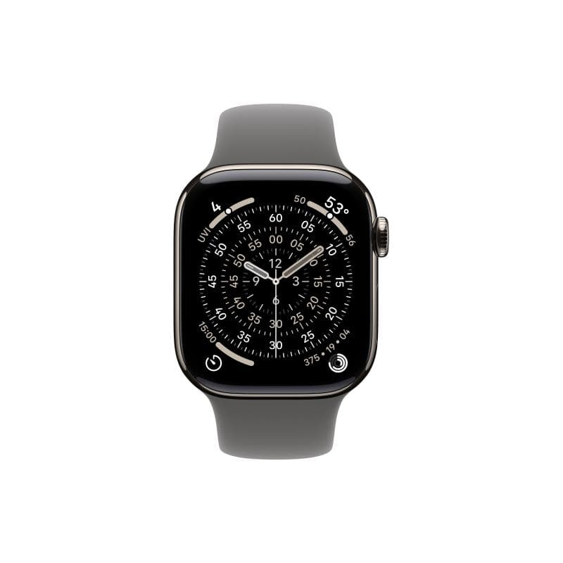 APPLE Watch S11 Titan Natur Cellular 42mm (Sportarmband steingrau) M/L