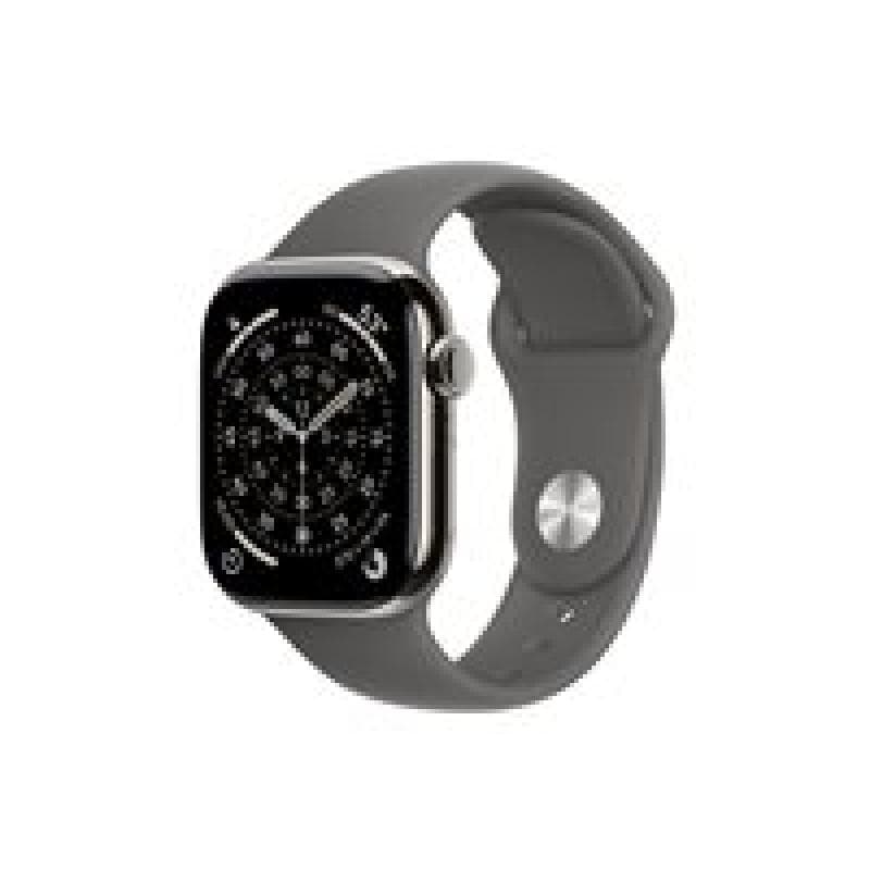 APPLE Watch S11 Titan Natur Cellular 42mm (Sportarmband steingrau) S/M