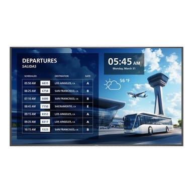 PHILIPS P-Line 65BDL6017P 165,1cm (65″)