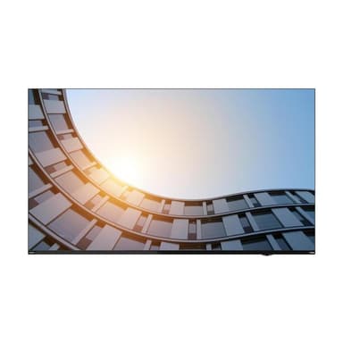 LENOVO ThinkVision E65 LFD 165,1cm (64,5″)