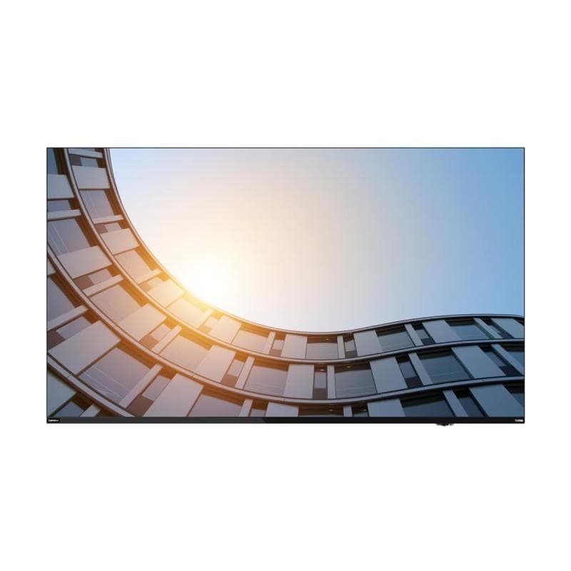 LENOVO ThinkVision E65 LFD 165,1cm (64,5″)