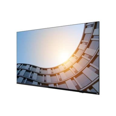 LENOVO ThinkVision E65 LFD 165,1cm (64,5″)