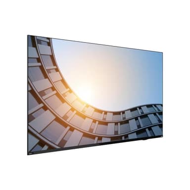 LENOVO ThinkVision E65 LFD 165,1cm (64,5″)