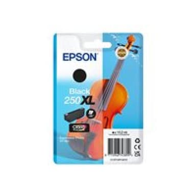 EPSON Singlepack Black 250XL ink