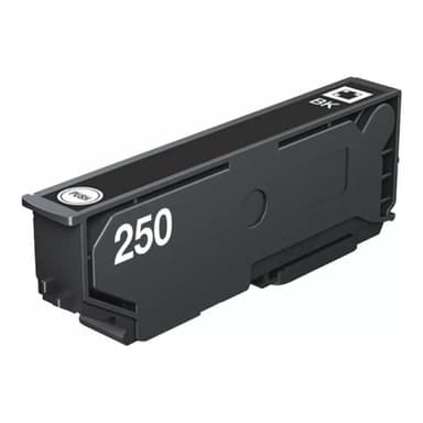 EPSON Singlepack Black 250 ink