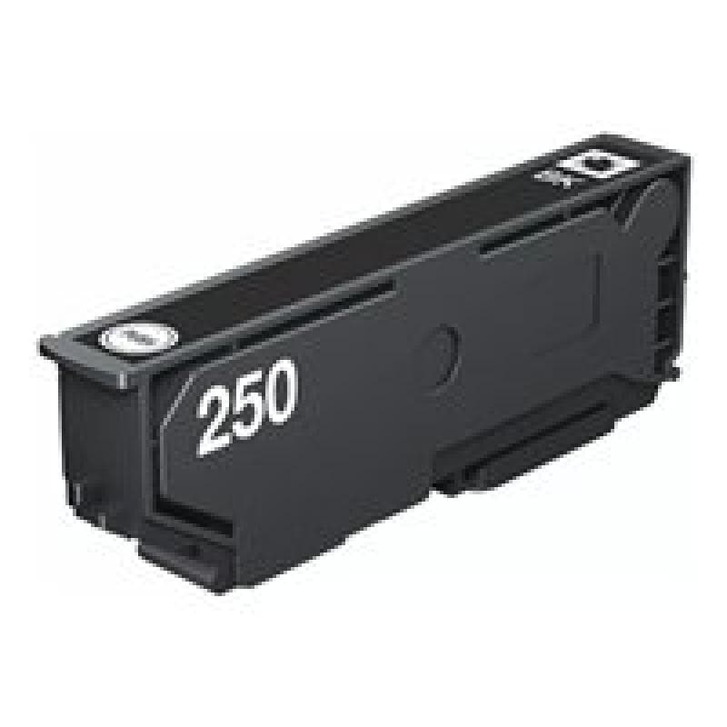 EPSON Singlepack Black 250 ink