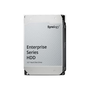SYNOLOGY  HAT5320-24T 24TB