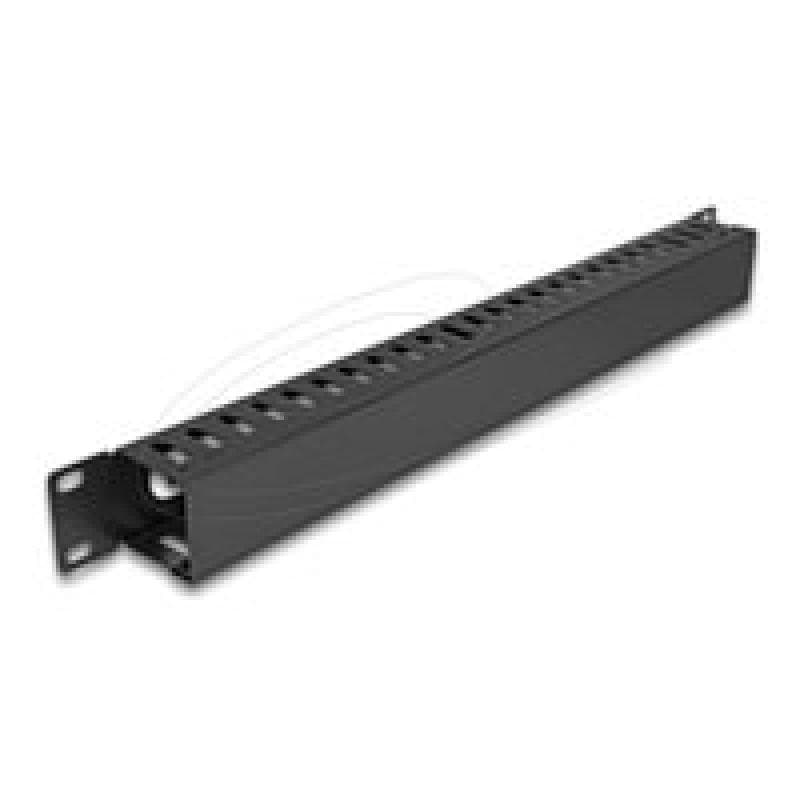 DELOCK 48,26cm 19Zoll 1 HE Kabelmanagement Rangierpanel mit 2 Öffnungen 1 HE Metall schwarz