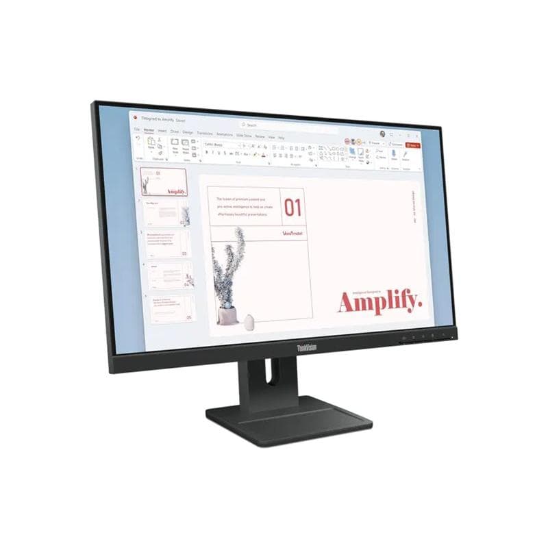 LENOVO ThinkVision E24-40 60,5cm (23,8″)