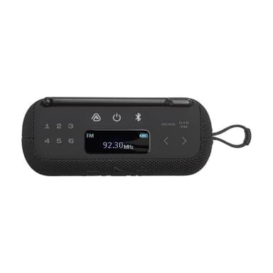 JBL Tuner 3 Bluetooth-Lautsprecher mit FM/DAB-Tuner schwarz IP67 Auracast