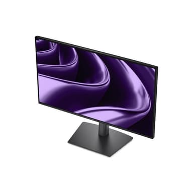 DELL Pro P 24 60,5cm (23,8″)