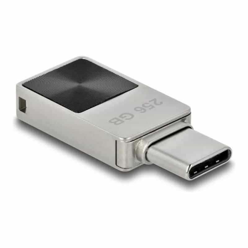 DELOCK Mini USB-Stick 5 Gbps USB-C 256 GB - Metallgehäuse DELOCK Mini USB-Stick 5 Gbps USB-C 256 GB - Metallgehäuse