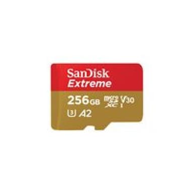 SANDISK Extreme 256 GB MicroSDXC