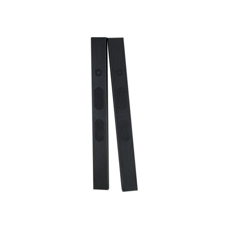 NEC Speaker SP-TF1 Removable speaker set fuer alle LFDs