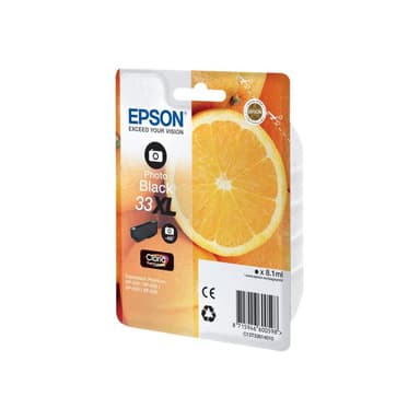 EPSON 33 Photo schwarz Tintenpatrone