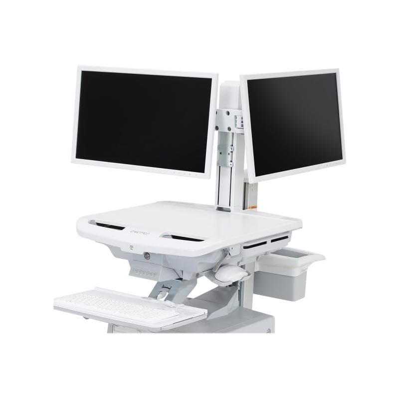 ERGOTRON STYLEVIEW DUAL MONITOR KIT