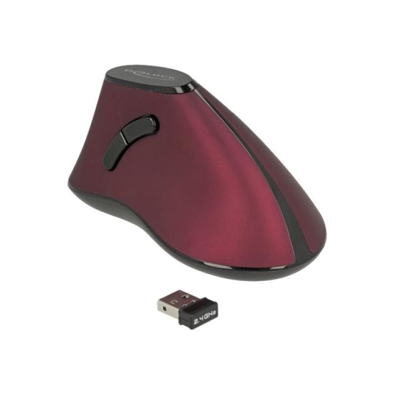 DELOCK Ergonomische vertikal optische 5-Tasten Maus 2,4 GHz wireless