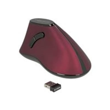 DELOCK Ergonomische vertikal optische 5-Tasten Maus 2,4 GHz wireless
