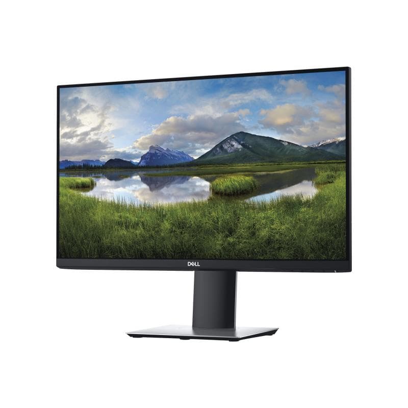 DELL P2419H 60,5cm (23,8″)