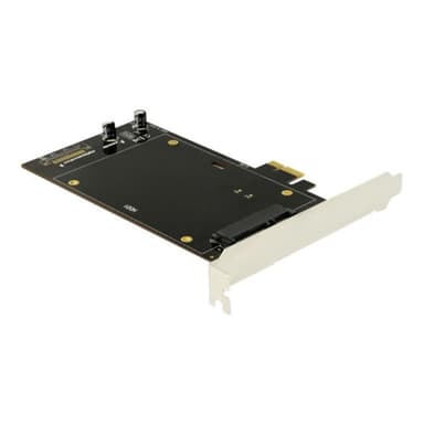 DELOCK PCI Express x1 Karte für 2 x SATA HDD / SSD